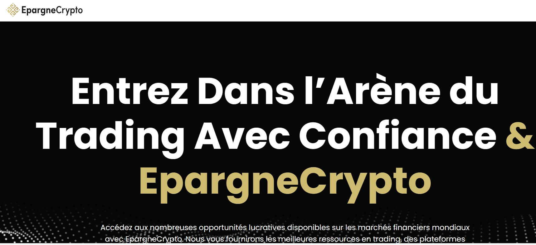 Capture d'écran du site EpargneCrypto révélant des failles