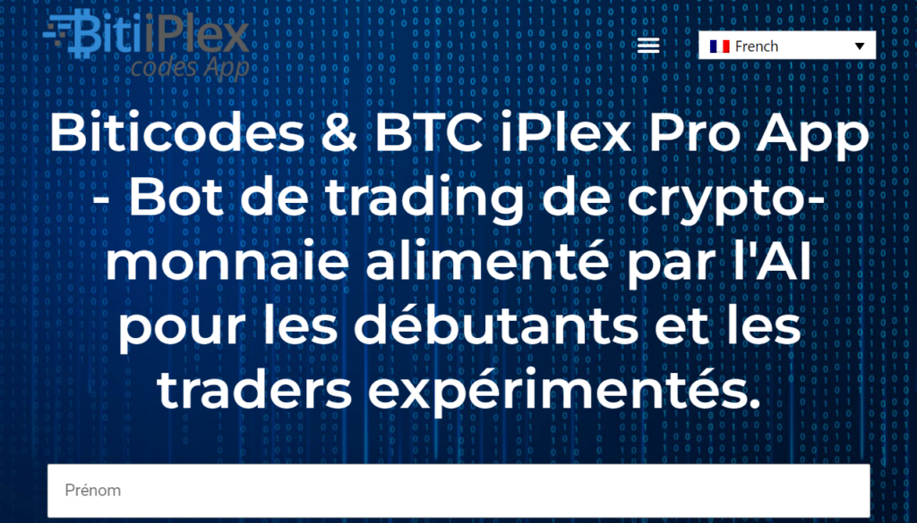 Page d'accueil du faux site de robot Biticodes