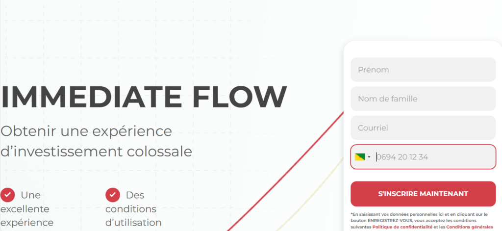 Formulaire du site Immediate Flow