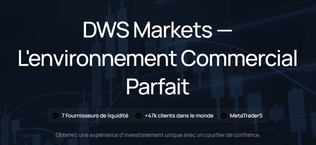 Apparence du site frauduleux DWS Markets