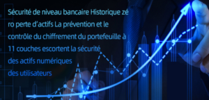 Analyse des signaux d’alerte sur bitcoinsvexchange, plateforme non régulée